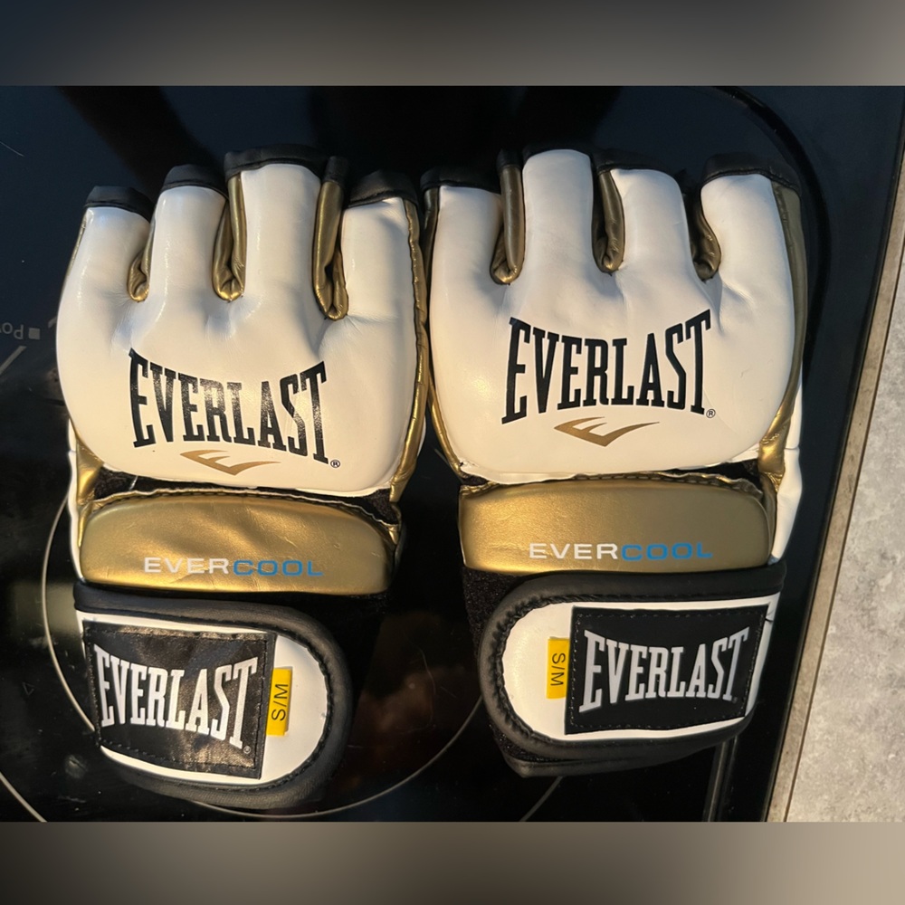Everlast boxing gloves